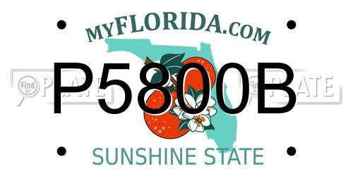 P5800B Florida License Plate