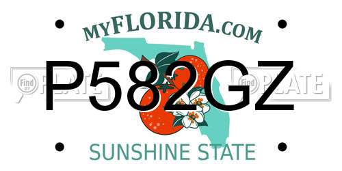 P582GZ Florida License Plate