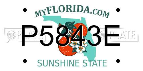 P5843E Florida License Plate