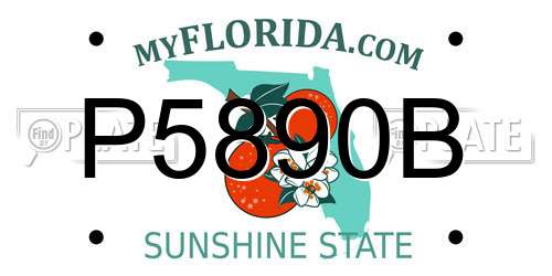 P5890B Florida License Plate