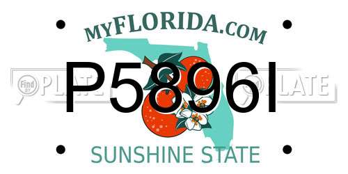 P5896I Florida License Plate