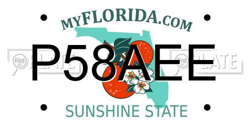 P58AEE Florida License Plate
