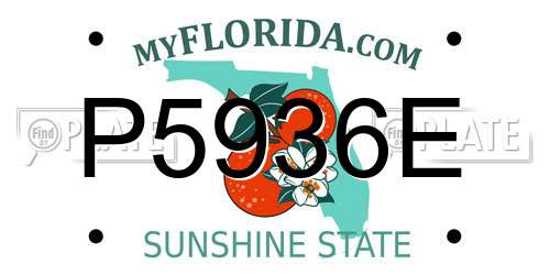 P5936E Florida License Plate