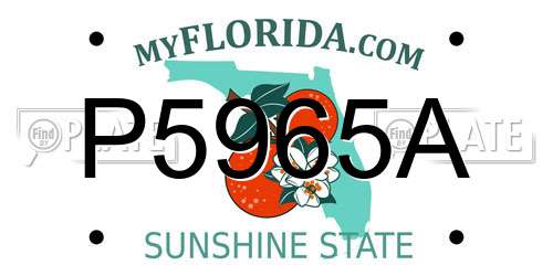P5965A Florida License Plate