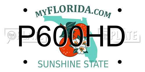 P600HD Florida License Plate
