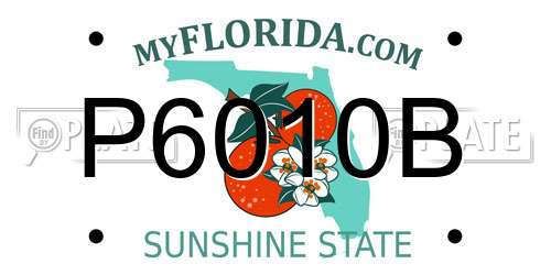 P6010B Florida License Plate
