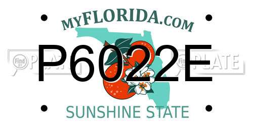 P6022E Florida License Plate