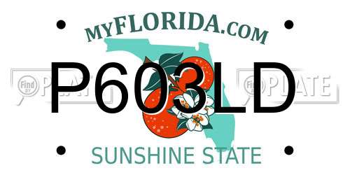P603LD Florida License Plate