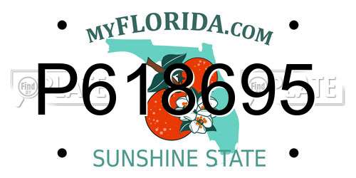 P618695 Florida License Plate