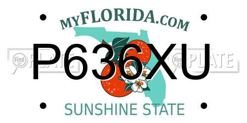 P636XU Florida License Plate