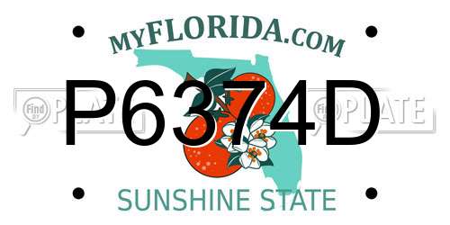 P6374D Florida License Plate