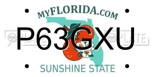 P63GXU Florida License Plate