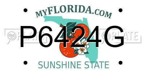 P6424G Florida License Plate