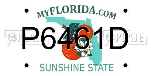 P6461D Florida License Plate