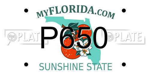 P650 Florida License Plate