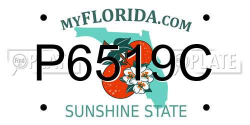P6519C Florida License Plate