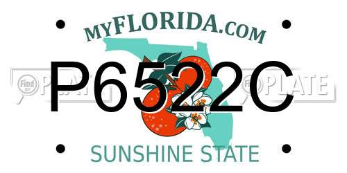 P6522C Florida License Plate