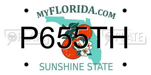 P655TH Florida License Plate