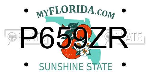 P659ZR Florida License Plate