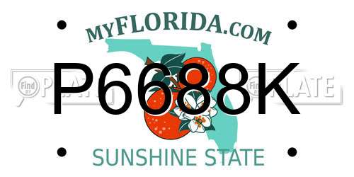 P6688K Florida License Plate
