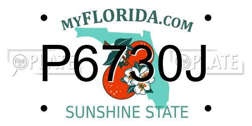 P6730J Florida License Plate