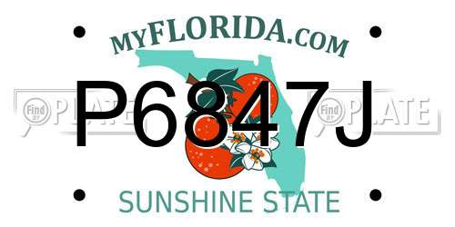 P6847J Florida License Plate