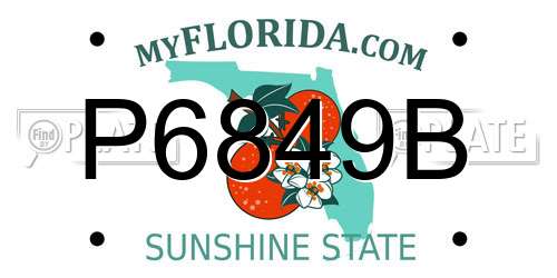 P6849B Florida License Plate