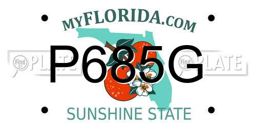 P685G Florida License Plate