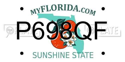 P698QF Florida License Plate