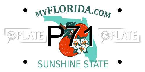 P71 Florida License Plate