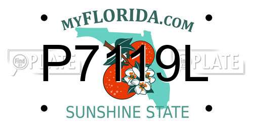 P7119L Florida License Plate