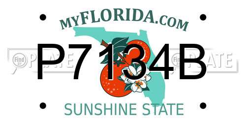 P7134B Florida License Plate