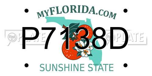 P7138D Florida License Plate
