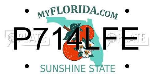 P714LFE Florida License Plate