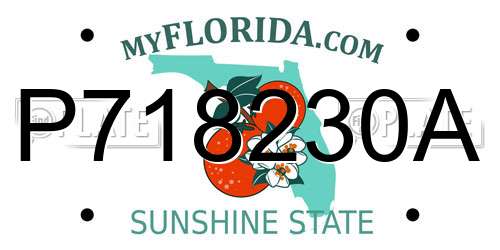P718230A Florida License Plate