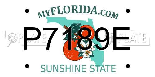 P7189E Florida License Plate