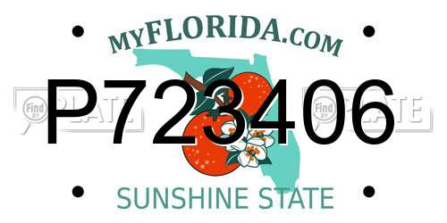 P723406 Florida License Plate