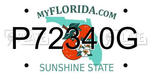 P72340G Florida License Plate