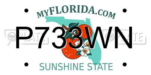 P733WN Florida License Plate