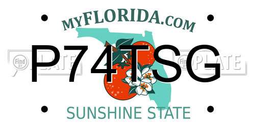 P74TSG Florida License Plate