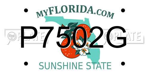 P7502G Florida License Plate