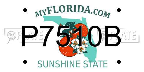 P7510B Florida License Plate