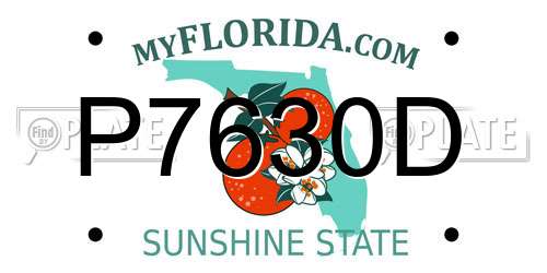 P7630D Florida License Plate