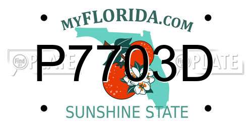P7703D Florida License Plate