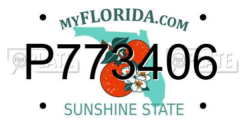 P773406 Florida License Plate