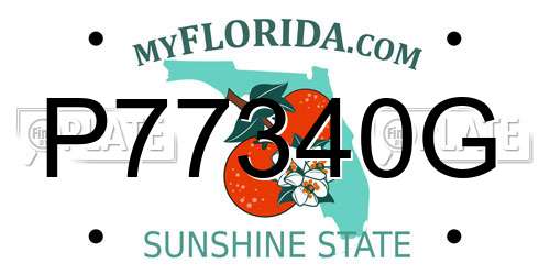 P77340G Florida License Plate