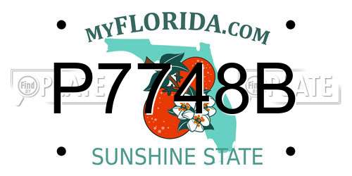 P7748B Florida License Plate