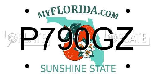 P790GZ Florida License Plate