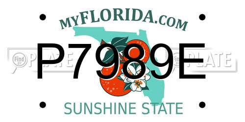 P7989E Florida License Plate
