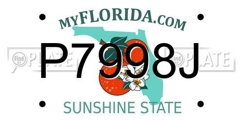 P7998J Florida License Plate